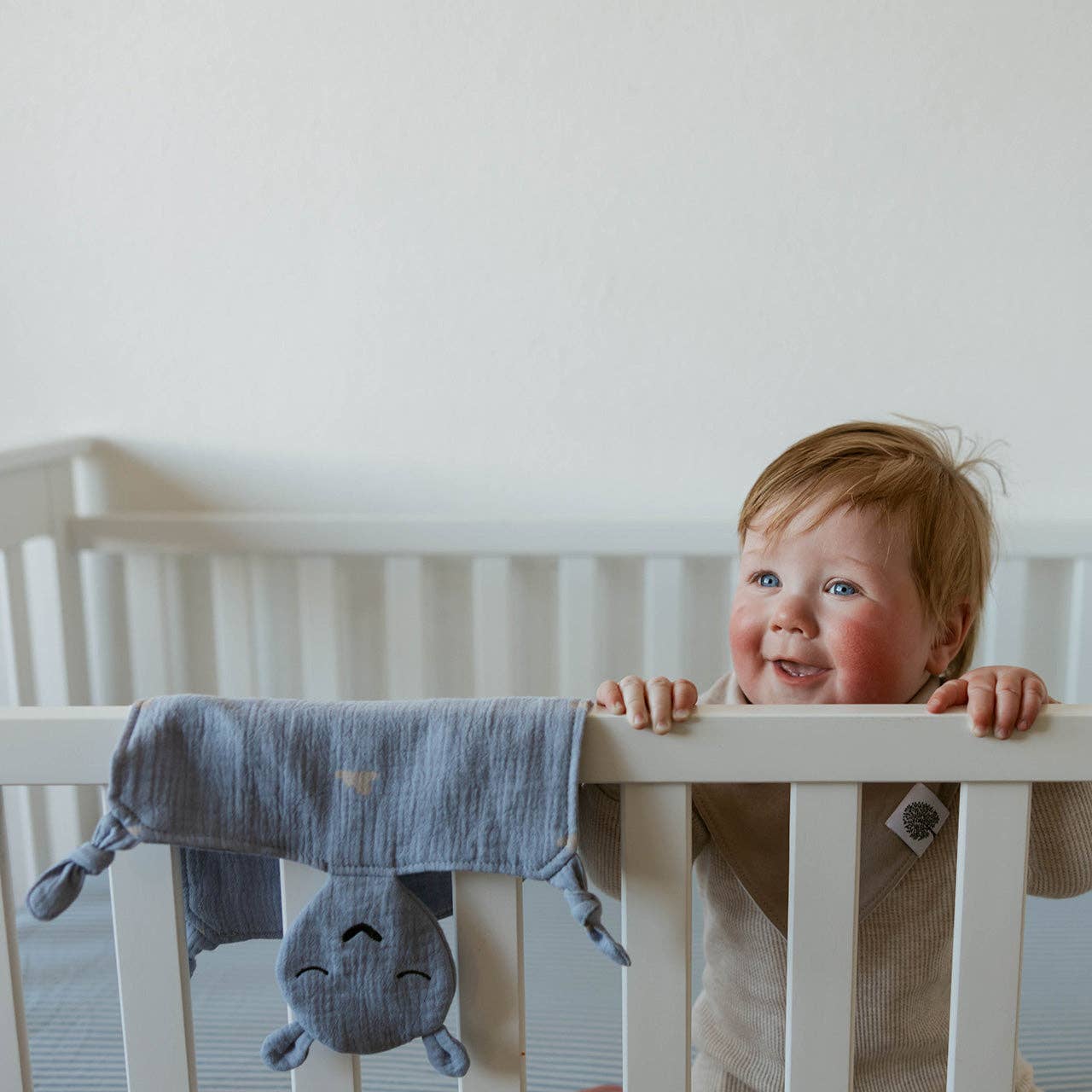 100% Muslin Lovey - Windy